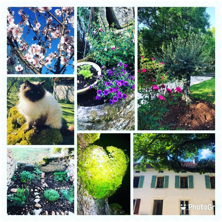 Bed and Breakfast Mas D'Aubrac Limogne-en-Quercy Экстерьер фото